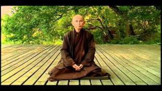 Thich Nhat Hanh about Freedom [upl. by Timmy572]