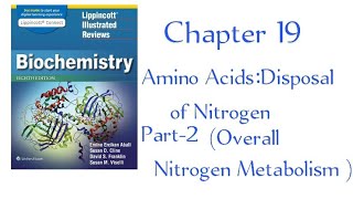 Ubiquitin proteasome proteolytic pathway Overall nitrogen metabolism part2 chapter 19 Lippincott [upl. by Roseann365]