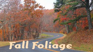 Blue Ridge Parkway Fall Foliage 2024 [upl. by Merri]