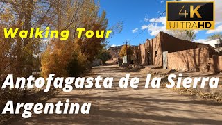 🇦🇷 【4K 60fps】 WALK  ANTOFAGASTA DE LA SIERRA  walking Tour  Argentina [upl. by Shumway]