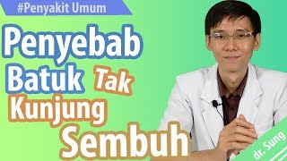 Penyebab Batuk Tak Kunjung Sembuh [upl. by Hgielsa401]