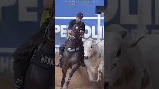 Why are controlling the bull with horse🐴🫡 shorts [upl. by Agustin]