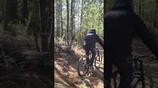 Diversión en Acequias con grandes Deacheros mtb dh Acequias mtbskills [upl. by Ilagam]