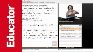 ATP Hydrolysis Phosphoryl Transfer Reaction  Biochemistry Tutorial [upl. by Adhern]