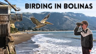 Birding in Bolinas [upl. by Asa585]