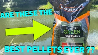 Sonubaits Marine Green Feed Pellets Review Are These The BEST Pellets EVER [upl. by Aneladgam]