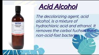 Acid Fast Staining Explained in Urdu [upl. by Eillam]