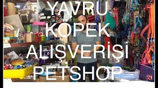 Yavru Köpek Alışverişi [upl. by Lennon]