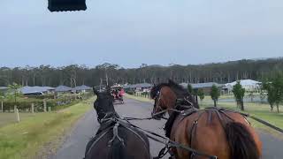 Horse Carriages takes us to see the Xmas lights countrysidelifestylelivinginaustralia [upl. by Hewitt220]