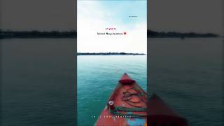 Pookale satru oyivedungal💓🌸love song❤️WhatsApp status❤️shortswhatsappstatuslovetamil ytyoutube [upl. by Marchak]