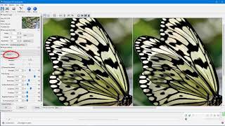 How to Enlarge Images with PhotoZoom [upl. by Py]