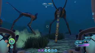 Subnautica  Where to find Crabsquid eggs [upl. by Otrebron]