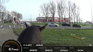 Verkeersmak maken jong paard en galop training Traffic and canter training young horse [upl. by Ardnaek]