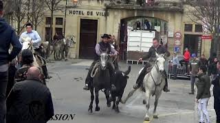 Inauguration du Bar le jet deau à Caveirac 2019 [upl. by Enajaras541]