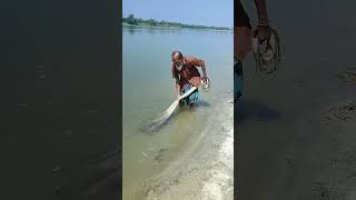 Amazing River Net Fishing shortvideo [upl. by Elaynad]