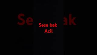 Sese bak [upl. by Gussie]