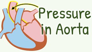 IMPRESS YOUR EXAMINER by Explaining Dicrotic Notch Incisura  Aortic Pressure During Cardiac Cycle [upl. by Brackett]