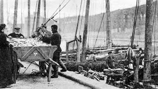 Old Photographs Eyemouth Scotland [upl. by Meeker432]