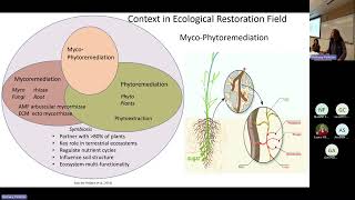 MycoPhytoremediation in Riparian Forest Buffers Restoration Education Training amp Rematriation [upl. by Reywas812]