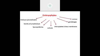 Cours Bryophytes Partie 1 [upl. by Colwen970]