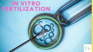 In Vitro Fertilization You Need to Know About IVF 3D Animation ivf fertility biology [upl. by Chamkis]