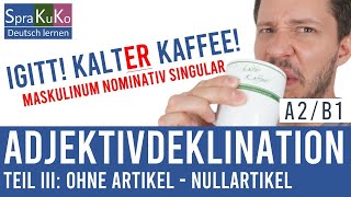 Adjektivdeklination ohne Artikel  Deutsch lernen mit Sprakuko B1 [upl. by Samtsirhc]