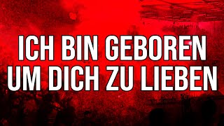 Ich bin geboren um dich zu lieben  Fanlieder [upl. by Aicatsue63]