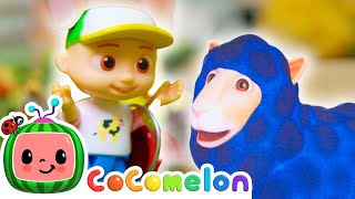 Baa Baa Wooly Black Sheep  🐑🎀  Toy Play Learning  CoComelon Nursery Rhymes amp Kids Songs [upl. by Tannenwald]