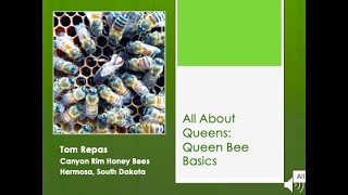 2 All About Queens Queen Bee Basics [upl. by Enra]