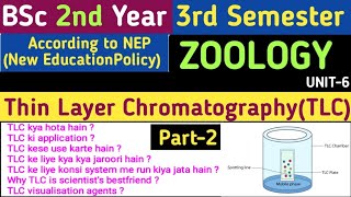 L2BSc 2nd Year 3rd Semester ZoologyThin Layer ChromatographyThin Layer Chromatography in Hindi [upl. by Arak]