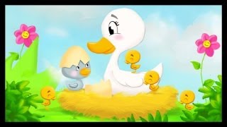 Histoire pour enfants  Le vilain petit canard [upl. by Lyons]