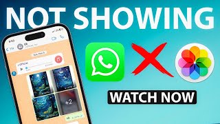 How To Fix WhatsApp Images Not Showing In Gallery  WhatsApp Media Not Showing In Gallery [upl. by Coh297]