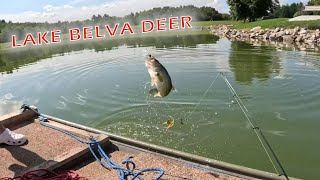 Bass Fishing at Lake Belva Deer Iowa Fishing [upl. by Merilyn763]