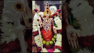 Om Murugaa 🦚🙏 Ennetra deivangal ethanai irundhalum  Tamil whatsapp status god murugansongs yt [upl. by Possing953]