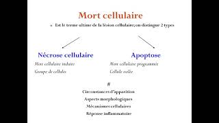 Anapath  Lésions cellulaires et tissulaires par Pr MOULAÏ [upl. by Ylrehs]