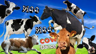 FUNNY COW DANCE 42 │ Cow Song amp Cow Videos New Version Official Video dance kids funny [upl. by Nylehtak]