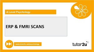 ERP amp FMRI Scans Explained  Biopsychology  ALevel Psychology [upl. by Rudin705]