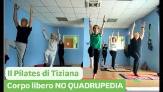 Ginnastica per tutti  NO quadrupedia  total body [upl. by Romalda]