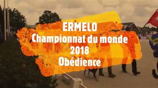 FCI Obedience World Championship Ermelo Netherlands 2018 [upl. by Oek]