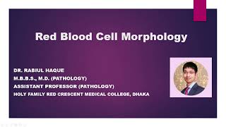 Red Blood Cell Morphology [upl. by Huey]