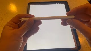 Apple Pencil 2nd Generation Quick Review [upl. by Riem]