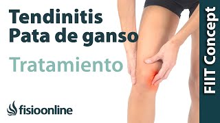 Tratamiento de la tendinitis de la pata de ganso [upl. by Konstanze]