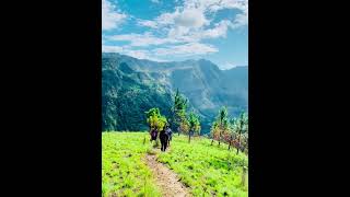 Wangedigala  වංගෙඩිගල  srilanka travel camping nature forest hiking asmr explore [upl. by Lrad]