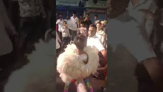 Raipur gudhiyari Sher dance MD dhumal djdhumal sherbaja [upl. by Cressler]