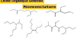 Production de la matiére organique svt 1 Bac sc ex Biof unité 2 شرح بالداريجة [upl. by Cyrus370]