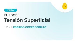 Tensión Superficial  Física  Fluidos  V7  Egg Educación [upl. by Eberta]