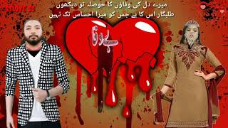 Bade Bewaf ho wafa kya karoge song ss [upl. by Anelat]