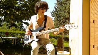 Little Lion Man  Mumford amp Sons Bass Cover [upl. by Marte]