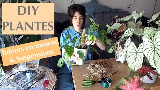 Tuteur plantes en Sphaigne DIY  Suspensions très faciles [upl. by Akiehs]