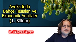 SEMİNER Avokadoda Bahçe Tesisleri ve Ekonomik Analizler1BÖLÜM [upl. by Euhsoj490]